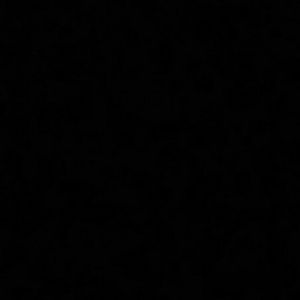 Meet your Posher, Bruce